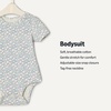 image:imageAmazon Essentials x Sofia Grainge Unisex Babies Short Sleeve Crewneck BodysuitRabbitsRound TreesStripe