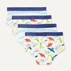 image:imageAmazon Essentials Unisex Toddlers Cotton Training UnderwearDinosaur  Stripes