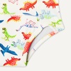image:imageAmazon Essentials Unisex Toddlers Cotton Training UnderwearDinosaur  Stripes