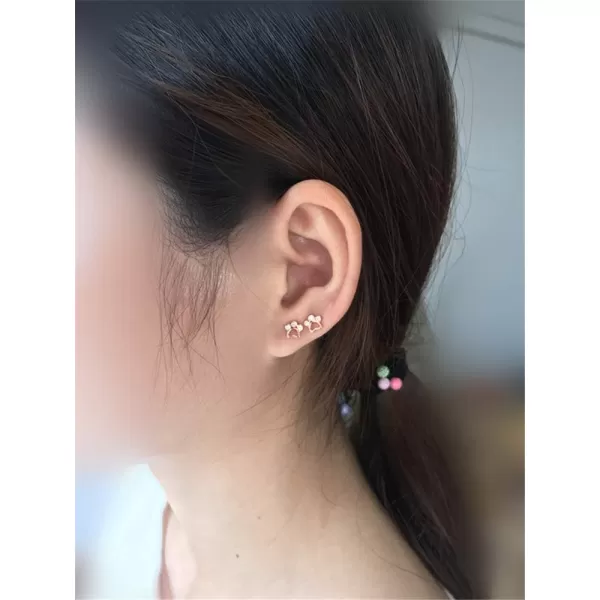 CZ Paw Earrings for Women Girls S925 Sterling Silver Cubic Zirconia Tiny Stud Tragus Post Pin Cute Paw Kitten Cat Puppy Dog Print Earrings Hypoallergenic Jewelry Gift for Pet Loverrose gold