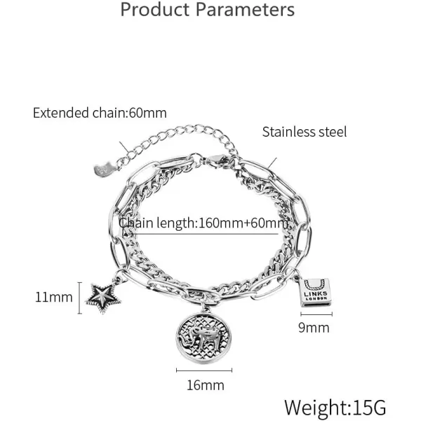Lucky Elephant Bracelet for Women Girls Stainless Steel Cute Charm Animal Black Star Geometric Disc Square Paperclip Link Chain Adjustable Personalized Jewelry