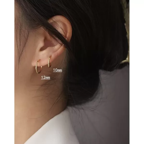 Minimalist Endless Small Hoop Earrings 925 Sterling Silver for Women Girls Hypoallergenic 14g Tiny Cartilage Huggie Hoops Helix Septum Nose Rings Daith Tragus Fashion Polished Body Piercing JewelryGold 10mm