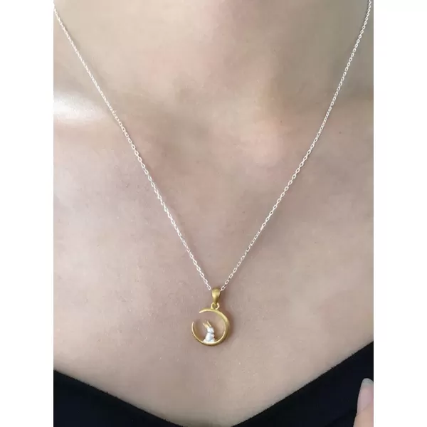 Cute Bunny Rabbit On The Moon Pendant Necklace for Women Teen Girls S925 Sterling Silver Hypoallergenic Dainty Tiny Crescent Choker 18 Chain Collar Delicate Animal Jewelry Gifts Box for DaughterCute Bunny Rabbit On The Moon Pendant Necklace for Women Teen Girls S925 Sterling Silver Hypoallergenic Dainty Tiny Crescent Choker 18 Chain Collar Delicate Animal Jewelry Gifts Box for Daughter