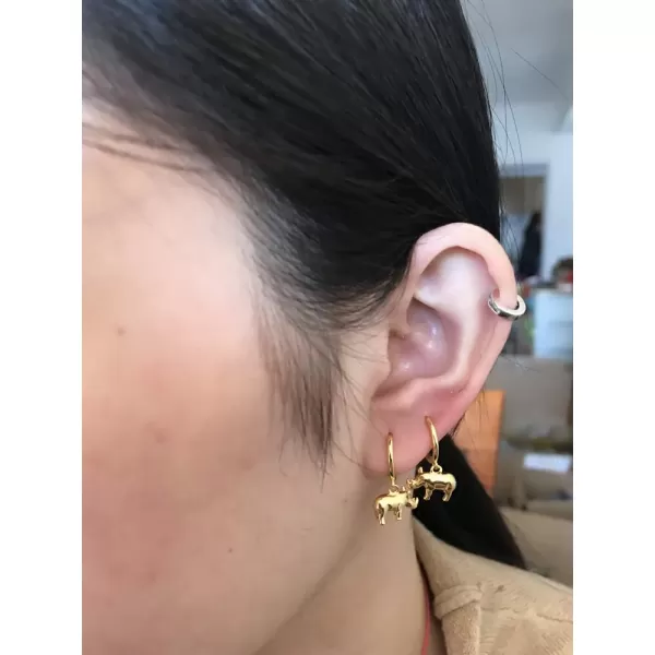 Cute Rhino Dangle Hoop Earrings for Women Girls Sterling Silver with Charms Animal Rhinoceros Drop Cartilage Cuff Stud Lovely Jewelry Fashion Dainty Birthday Christmas Gifts for DaughterGold