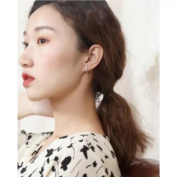 image925 Minimalist Bar Earrings with Sterling Silver Tassel Chain Drop Dangle Earring for Women Charms Fashion Punk Pierced Studs Hypoallergenic Jewelry Birthday Christmas for Best Friends