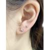 image3 Pairs Tiny Starfish Stud Earrings Sterling Silver Set for Women Girls Cute Star Cartilage 20g Studs Tragus Post Pin Hypoallergenic Piercing Body Jewelry Dainty Gifts