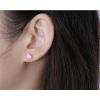 image18g Titanium Heart Love Earrings for Women Girls Stainless Steel Hypoallergenic Cute Tiny Sequins Stud Cartilage Tragus Screw Back Post Piercing Sensitive EarPink