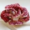 imageRhinestone Rose Brooch Pin for Women Girls Fashion Crystal Big Blossom Flower Brooch Lapel Pins Elegant Dress Accessories Jewelry Boutonniere Corsage for Hat Bag Suit Tie Gift Wedding HolidayPink Red