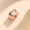 imageDainty Oblate Silk Scarf Ring Brooch for Women Minimalist Geometric Shawl Scarves Buckle Wrap Clasp Clip Rings Brooches Fashion Dress Accessories JewelryRose Gold