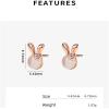 imageCute Rabbit Flower Stud Sterling Silver Earrings for Women Girls Hypoallergenic Tiny Small Animal 18g Piercing Studs Cartilage Tragus Post Dainty Cat Eye Moon Stone Jewelry Gifts Birthday EasterRose Gold
