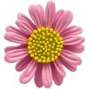 imageCute Daisy Flower Brooch Pin for Women Girl Colorful Enamel Yellow Green Small Lovely Sun Flowers Plant Collar Clip Dress Scarf Bag Suit Lapel Pin Holiday Easter Jewelry GiftPink