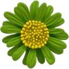 imageCute Daisy Flower Brooch Pin for Women Girl Colorful Enamel Yellow Green Small Lovely Sun Flowers Plant Collar Clip Dress Scarf Bag Suit Lapel Pin Holiday Easter Jewelry GiftGreen