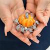imageRhinestone Autumn Pumpkin Brooch for Women Girls Fashion Enamel Halloween Thanksgiving Crystal Leaf Brooches Lapel Pins Fall Holiday Festival Party Dress Accessories GiftSilver Orange