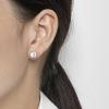imageTiny Moon Star Cat Stud Earrings for Women Girls 925 Sterling Silver Hypoallergenic Asymmetrical Shell Pearl Crescent Moon Crystal Animal Pet Studs Cartilage Dainty Cute Birthday Jewelry Gifts for DaughterSilver