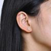 image:image18g Gold Plated Flower Leaf Fruit Stud Earrings for Women Stainless Steel Hypoallergenic Small Cartilage Studs Earring Dainty Cute Accessories Jewelry Gifts for Birthday HolidayDaisy