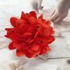 image:imageDainty Black Dots Flower Brooch Pin for Women Ladies Charming Satin Fabric Rose Peony Floral Brooches Hair Clips Pins Elegant Wedding Cocktail Party Hat Bag Suit Clothing Dress Accessories 3 inchesRed