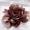 image:imageDtja Large Fabric Rose Flower Brooch Pin for Women Fashion Sequined Satin Peony Camellia Flowers Corsage Brooches Pins for Wedding Party Dance Banquet Dress Suit Clothes Accessories Jewelry 160mm63inBronzing