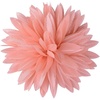 Pinkish-orange