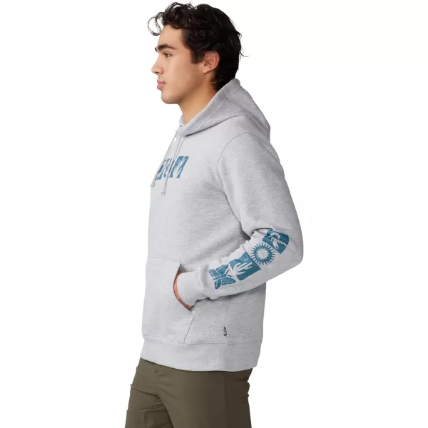 imageMountain Hardwear Mens MHW Logo Plus M HoodyHardwear Grey Heather