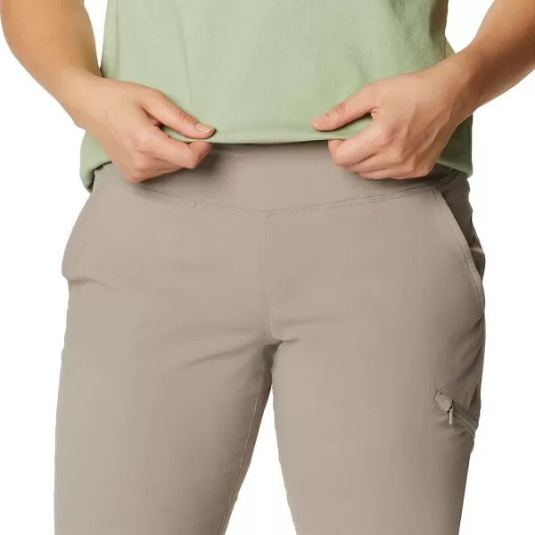 imageMountain Hardwear Womens Dynama2 PantDunes
