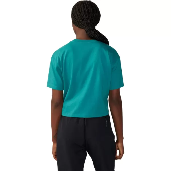 imageMountain Hardwear Womens Graphic Boxy Crop W Short SleeveWintermint