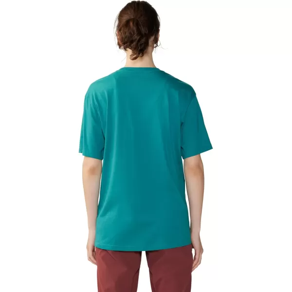 imageMountain Hardwear Womens Logo Plus Boxy W Short SleeveWintermint
