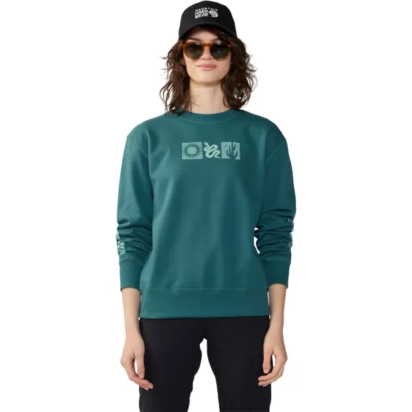 imageMountain Hardwear Womens MHW Graphic W CrewAqua Green