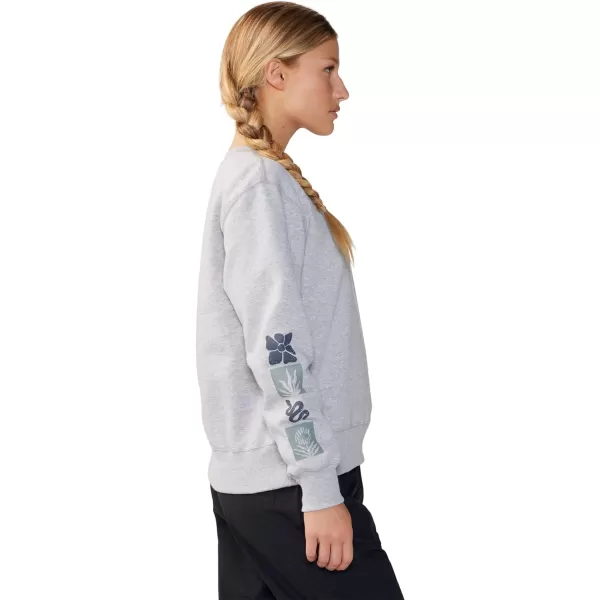 imageMountain Hardwear Womens MHW Graphic W CrewHardwear Grey Heather