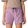 imageMountain Hardwear Mens Trail Sender ShortDark Daze