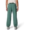 imageMountain Hardwear Mens Stryder PantHiking PantsBlue Pine