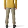 imageMountain Hardwear Mens Yumalino Active PantStone Green