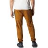 imageMountain Hardwear Womens Polartec High Loft PantGolden Brown