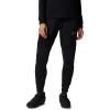 imageMountain Hardwear Womens Polartec High Loft PantBlack  New 2024