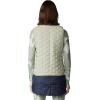 imageMountain Hardwear Womens StretchDown Light VestWhite Sage  New 2024
