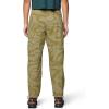 imageMountain Hardwear Womens Rockrydge PantLandslide Rock Strata Print