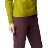 imageMountain Hardwear Womens Dynama CropBlackberry