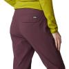 imageMountain Hardwear Womens Dynama CropBlackberry
