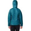 imageMountain Hardwear Womens Ghost Whisperer HoodyJack Pine  New 2024