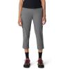 imageMountain Hardwear Womens Dynama CropSediment