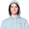 imageMountain Hardwear Womens MHW Logo Po HoodyIce Shadow