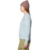 imageMountain Hardwear Womens MHW Logo Pullover CrewIce Shadow