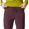 image:imageMountain Hardwear Womens Dynama CropBlackberry