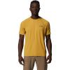 Desert Yellow