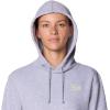 image:imageMountain Hardwear Womens MHW Logo PO Hoody Hardwear Grey Heather Large