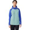 Lichen Green/Blue Print