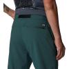 image:imageMountain Hardwear Stryder PantsBlack Spruce