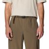 image:imageMountain Hardwear Stryder PantsBrown