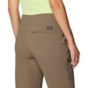 image:imageMountain Hardwear Dynama Ankle PantsBrown