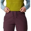 image:imageMountain Hardwear Plus Size Dynama Ankle PantsBlackberry
