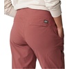 image:imageMountain Hardwear Plus Size Dynama Ankle PantsClay Earth
